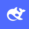 DeepSeek