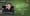 🌁 Ứng dụng AI & chỉnh ảnh hàng loạt trên Photoshop